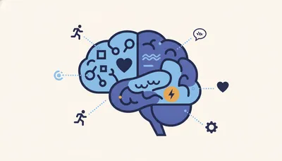 Which Part of the Brain Controls What? A Beginner's Guide to Brain Science